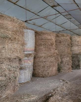 Vendita fieno