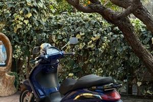 Piaggio Beverly 500 - 2005