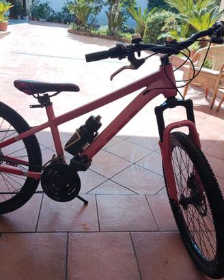 Coppi crossback