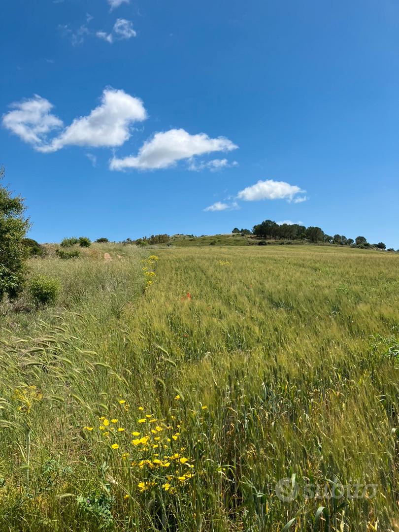 Terreno agricolo - Vista 4