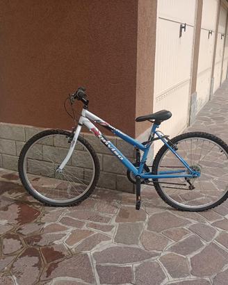 Mountain-bike Monviso 
