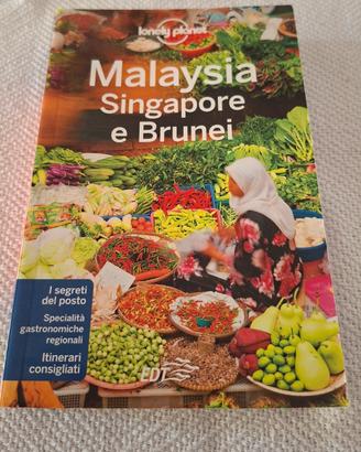 Guida Lonely Planet MALAYSIA SINGAPORE  BRUNEI