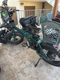 Bici elettrica 250 watt