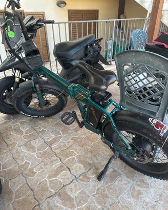 Bici elettrica 250 watt