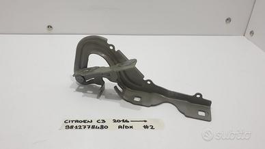 CERNIERA COFANO ANTERIORE DX CITROEN C3 Serie 9812