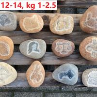 Natale Segni zodiacali scolpiti su pietra