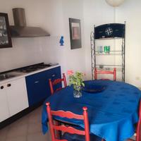 Ampio bilocale non distante dal mare