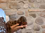 Immagine 5