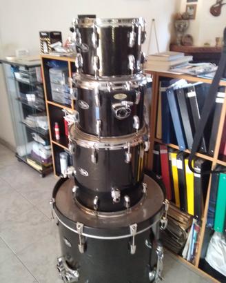 Batteria  Parl Vision Birch 