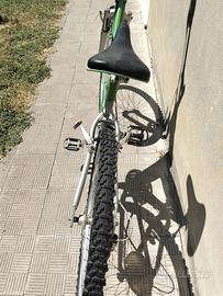 Bici MTB