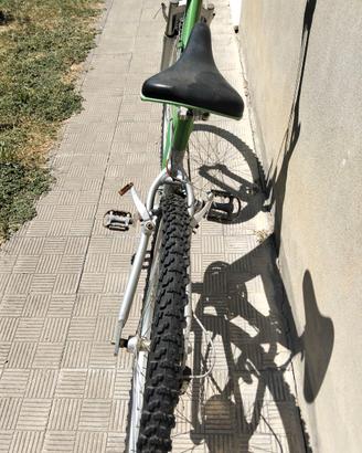 Bici MTB