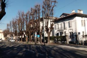 Bilocale arredato 