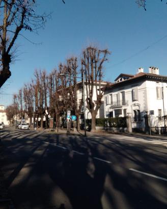 Bilocale arredato 