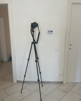 Treppiede Manfrotto 290 light