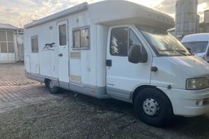 Laika ecovip semintegrale