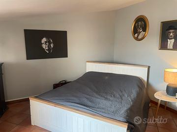 Monolocale / camera ad Campus biomedico