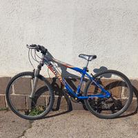 bicicletta bottecchia