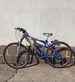 bicicletta bottecchia