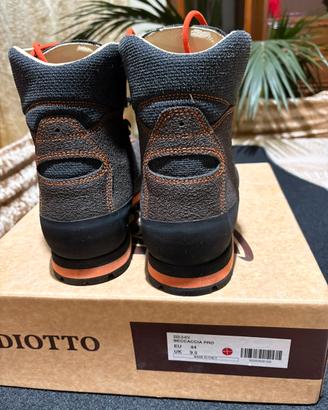 Diotto beccaccia pro nuove