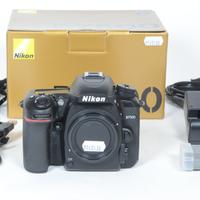 NIKON D7500 Corpo - 4200 scatti