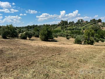 Terreno località Caporotondo