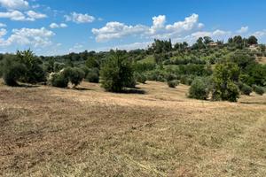 Terreno località Caporotondo