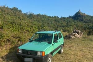 Fiat Panda 4x4 l serie Trekking 2003 Revisionata