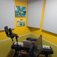 Pannelli Fonoassorbenti Professionali - Su misura