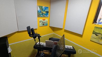 Pannelli Fonoassorbenti Professionali - Su misura