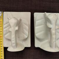 2 firma libri elefante 