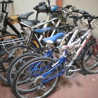 Biciclette gruppo bici mtb