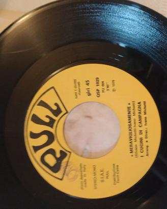 33giri musica italiana 70,80