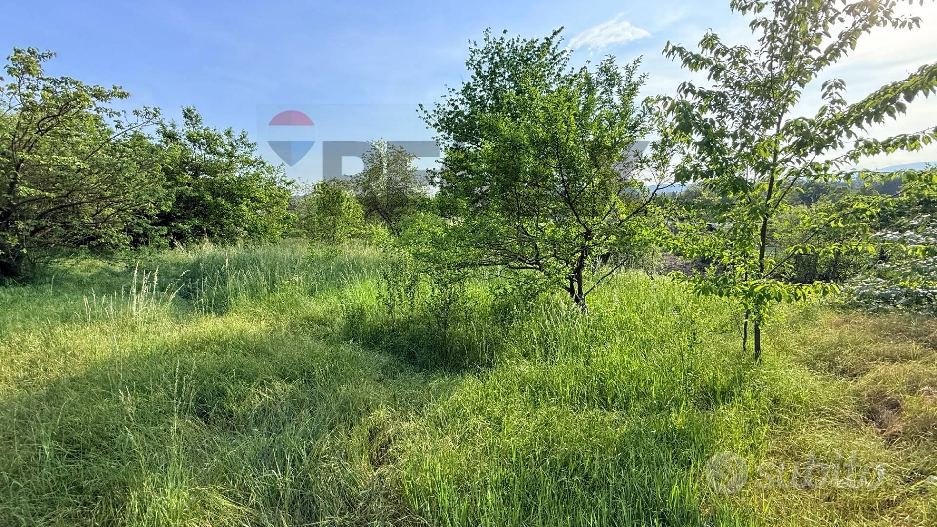 Terreno - Sangiano - Vista 5