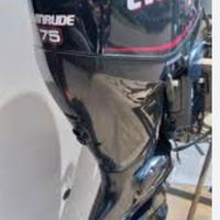 Evinrude E-tech 75