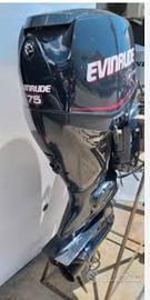 Evinrude E-tech 75