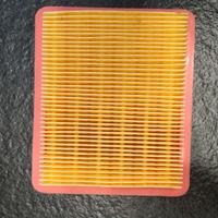 Filtro aria per tagliaerba 