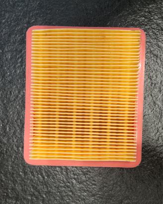 Filtro aria per tagliaerba 