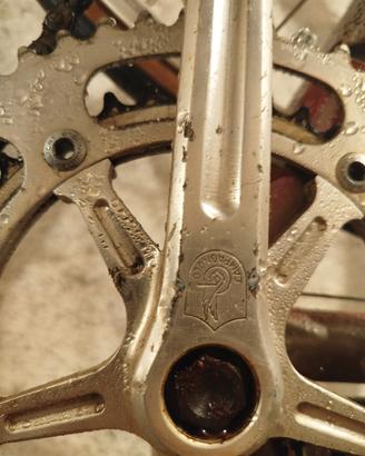 Bicicletta fine anni '80 con cambio Campagnolo 