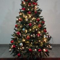 Albero di Natale - Pino Ciuffolotto