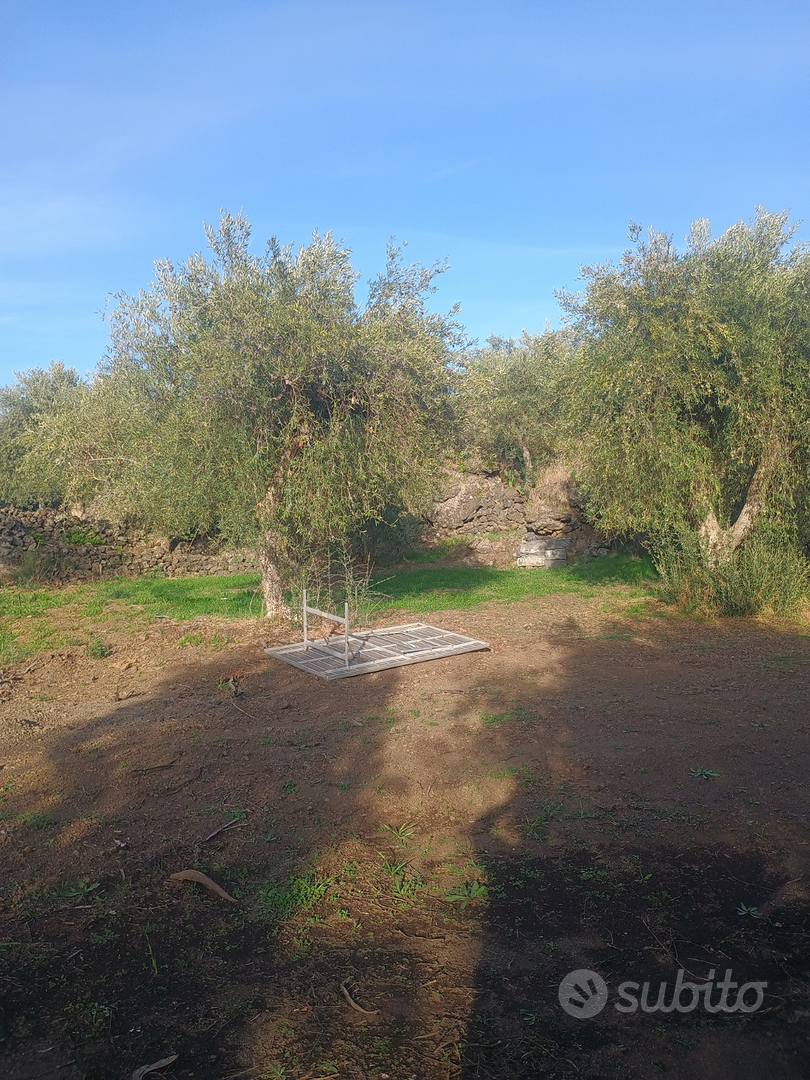Terreno agricolo Belpasso - Vista 4