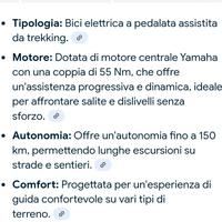 Bicicletta elettrica