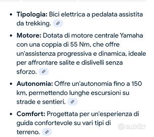 Bicicletta elettrica