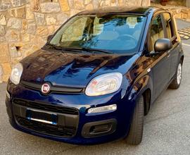 FIAT Panda 3ª serie - 2021