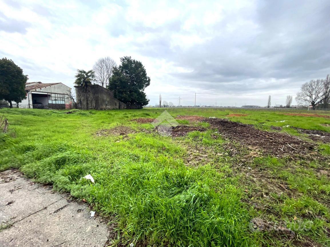 TERRENO A ARRE - Vista 4
