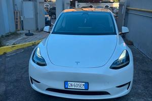 Tesla Model Y Long Range