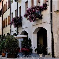 Locale commerciale a reddito