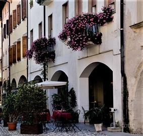 Locale commerciale a reddito