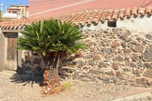 Piccolo locale con cortiletto