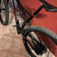 Specialized 29