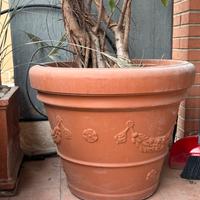 Vaso terracotta